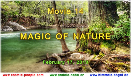 MEDITATION FILM - MAGIC OF NATURE